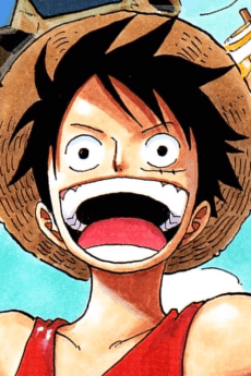 Luffy Monkey portrait